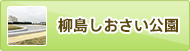 柳島しおさい公園