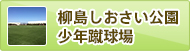 柳島しおさい公園　少年蹴球場