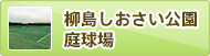 柳島しおさい公園　庭球場