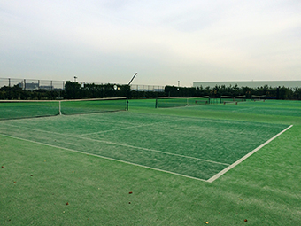 柳島しおさい公園　庭球場